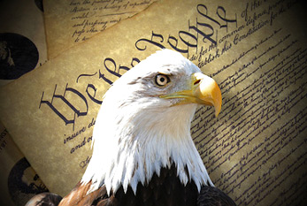 Constitution américaine, en face d'un pygargue à tête blanche (symbole des Etats-Unis).