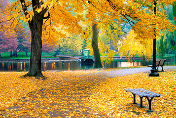 Atmosphère d'automne dans un parc.