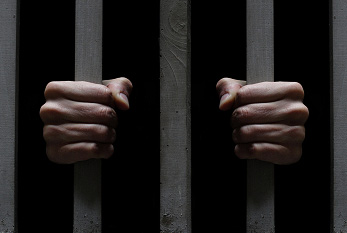 Environ 900 Droits d'auteurs sont emprisonnés dans le monde entier.