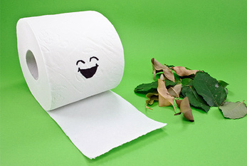 Toilettes rouleau et feuilles de papier: avaient autrefois à essuyer avec un peu moyen confortable de la crosse - beaucoup plus agréable est le papier de toilette.