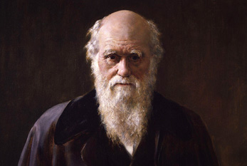 Peinture par Charles Darwin
