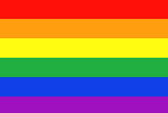 Depuis les années 1970, le drapeau arc-en-est une icône internationale gay et lesbienne.