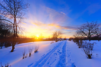 La lumière du soleil clairsemée sur un paysage couvert de neige pendant le solstice d'hiver.