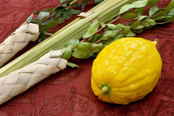 Loulav (branches de palmiers) et Etrog (variétés de citron) font partie du culte à Souccot.