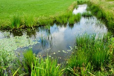 Journ&eacute;e mondiale des zones humides 2026