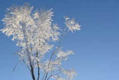 Début de l'hiver météorologique 2018