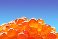 Journ&eacute;e nationale du caviar 2026